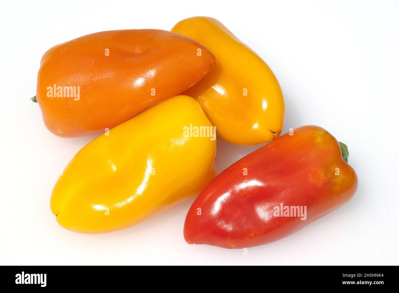 Capsicum; Capsicum; annuum; Foto Stock