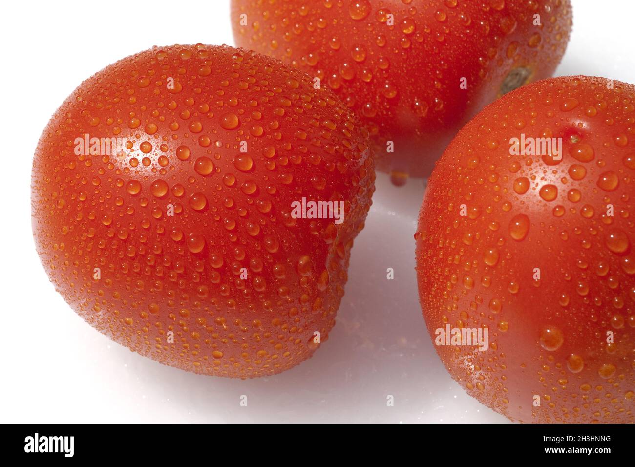 Roma-Tomaten, Romatomaten, Lycopersicon esculentum; Foto Stock