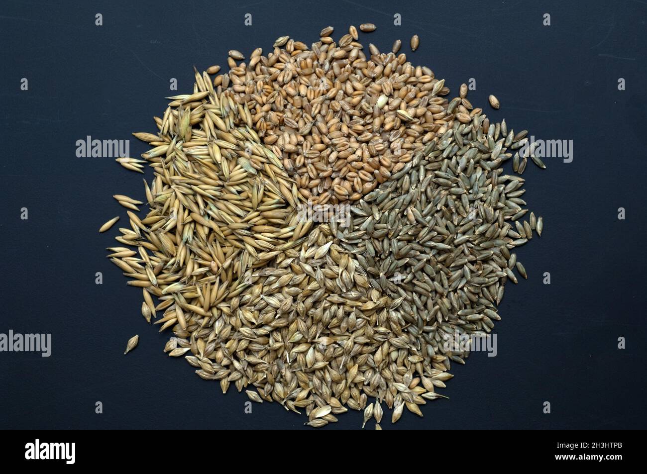 Varietà di cereali; cereali; cereali; Foto Stock