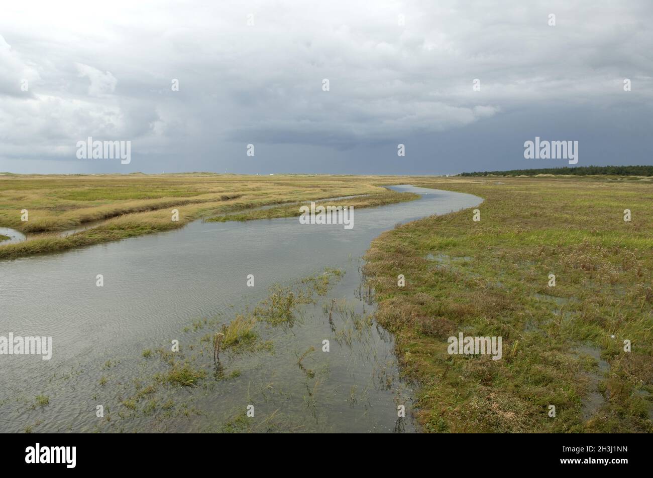 Paludi di sale, Sankt Peter-Ording, Foto Stock