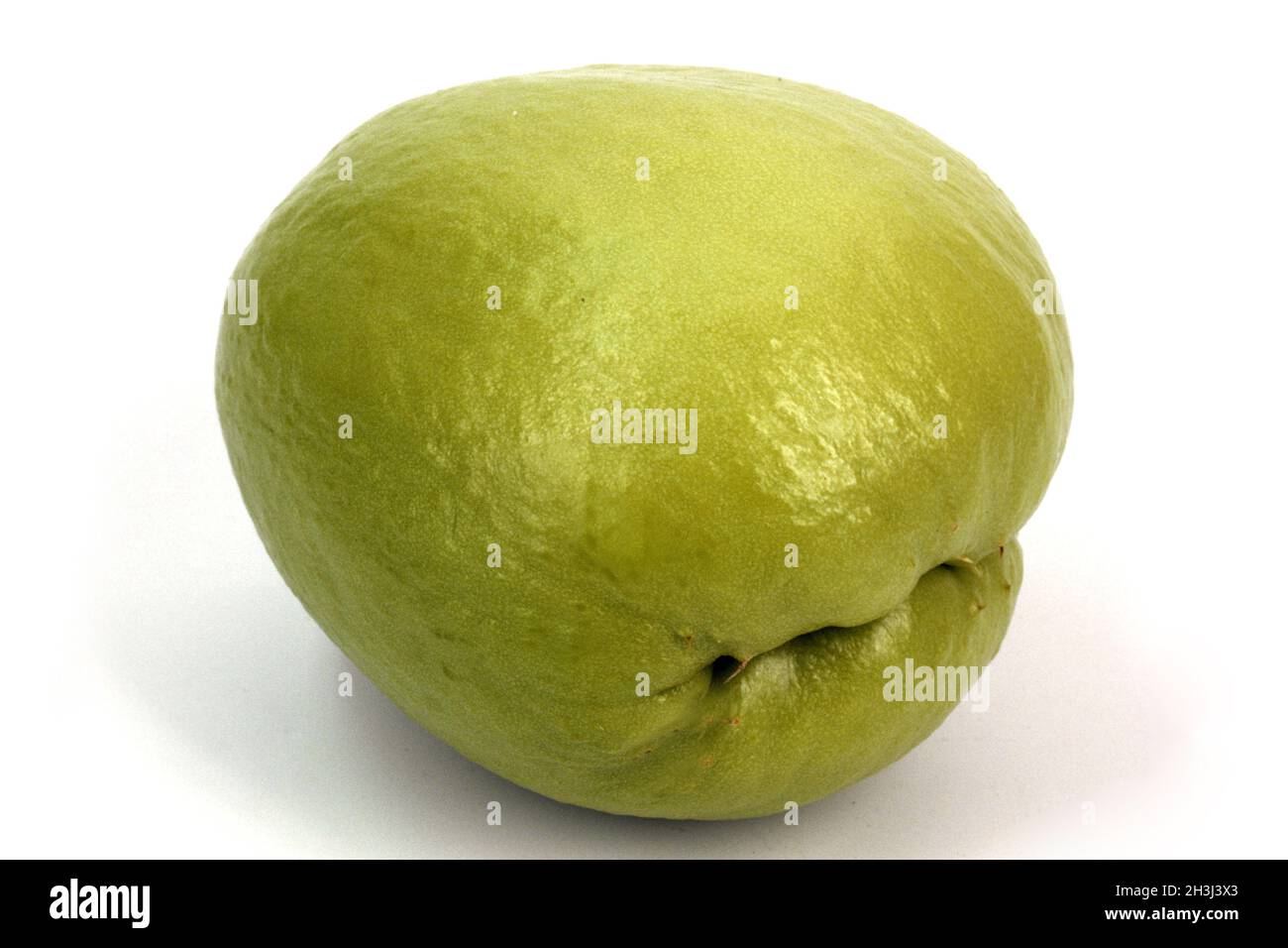 Chayoten; Sechium; Berry Foto Stock
