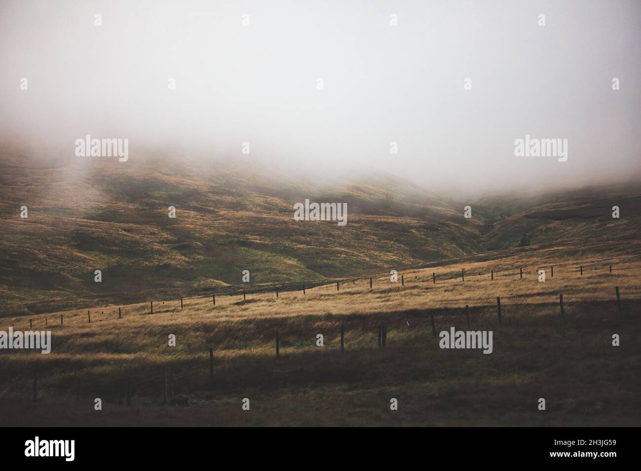 Nebbia su remoto brughiera isolata atmosferica, Yorkshire Dales National Park, North Yorkshire, Inghilterra. Concetto di mistero, intrighi, intrappolati, fuga Foto Stock