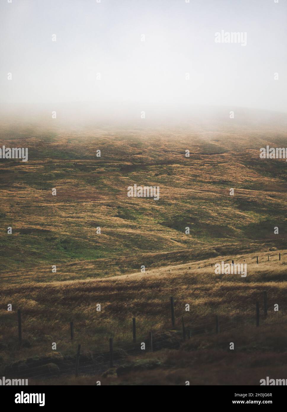 Nebbia su remoto brughiera isolata atmosferica, Yorkshire Dales National Park, North Yorkshire, Inghilterra. Concetto di mistero, intrighi, fuga, intrappolati Foto Stock