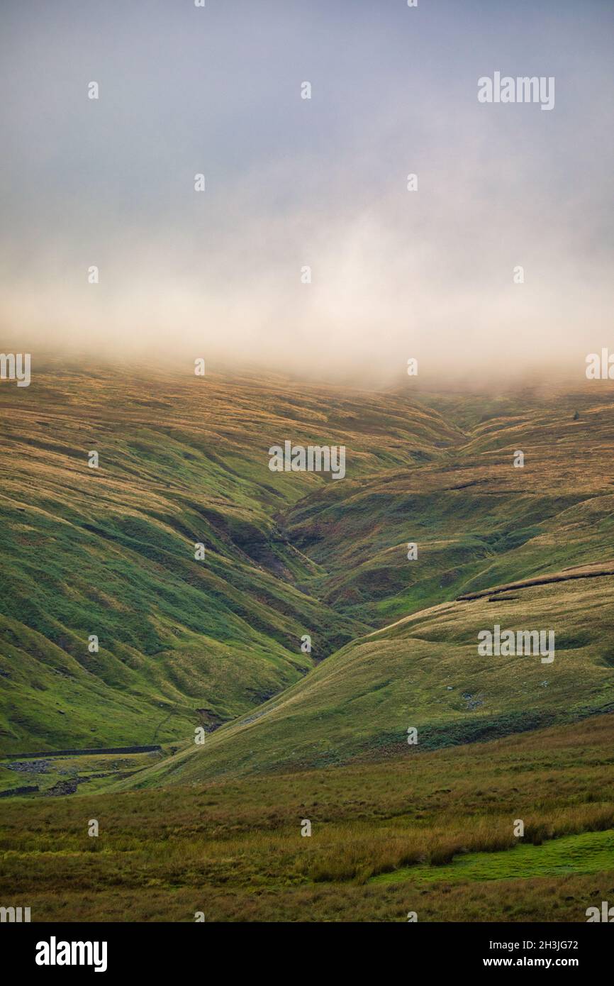 Nebbia su remoto brughiera isolata atmosferica, Yorkshire Dales National Park, North Yorkshire, Inghilterra. Concetto di mistero, intrighi, fuga, intrappolati Foto Stock