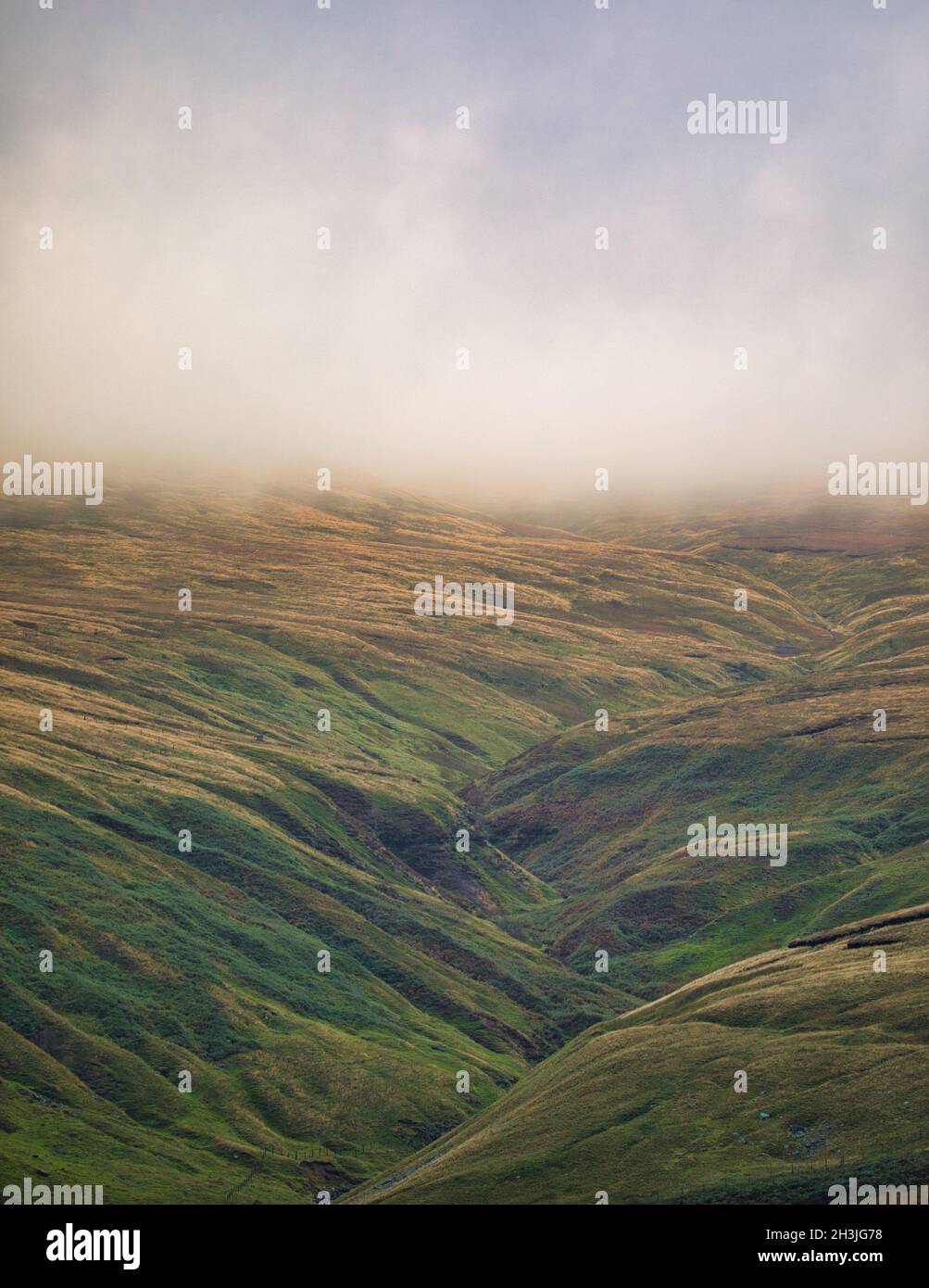 Nebbia su remoto brughiera isolata atmosferica, Yorkshire Dales National Park, North Yorkshire, Inghilterra. Concetto di mistero, intrighi, fuga, intrappolati Foto Stock