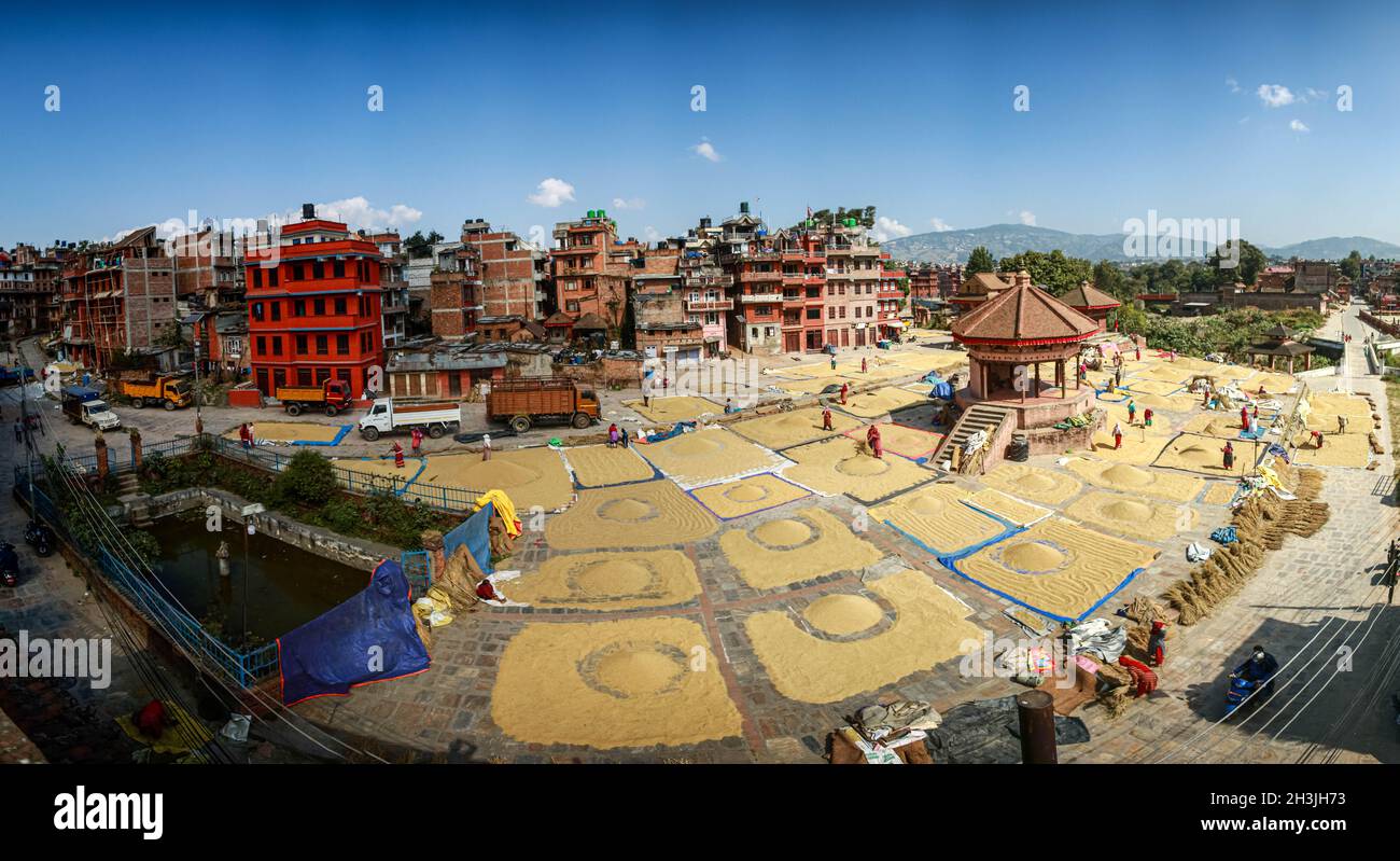 Bhaktapur, Bagmati, Nepal. 29 ottobre 2021. Una visione generale di Yoshi: Khel, terreno comune a Bhaktapur, dove si svolgono vari eventi culturali su base annuale è coperto con grani di riso lasciato asciugare il Venerdì. Credit: Amit Machamasi/ZUMA Wire/Alamy Live News Foto Stock