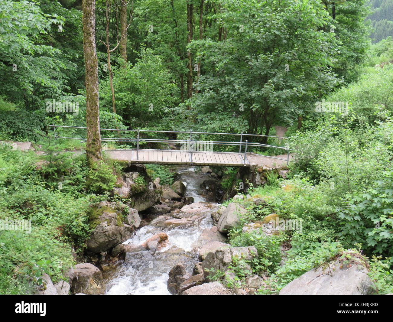 Ponte di legno attraverso un fiume nella foresta Foto Stock