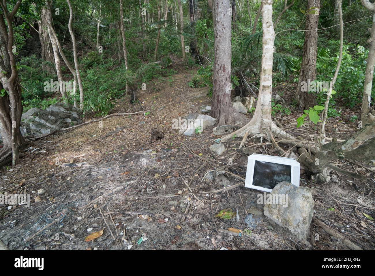 Una TV nera è rimasta in una foresta Foto Stock
