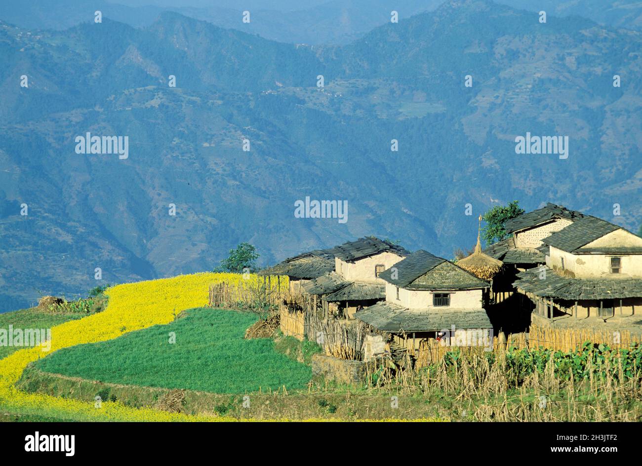 Nepal, Regione di Gorkha, Villaggio gurung de Barpak Foto Stock