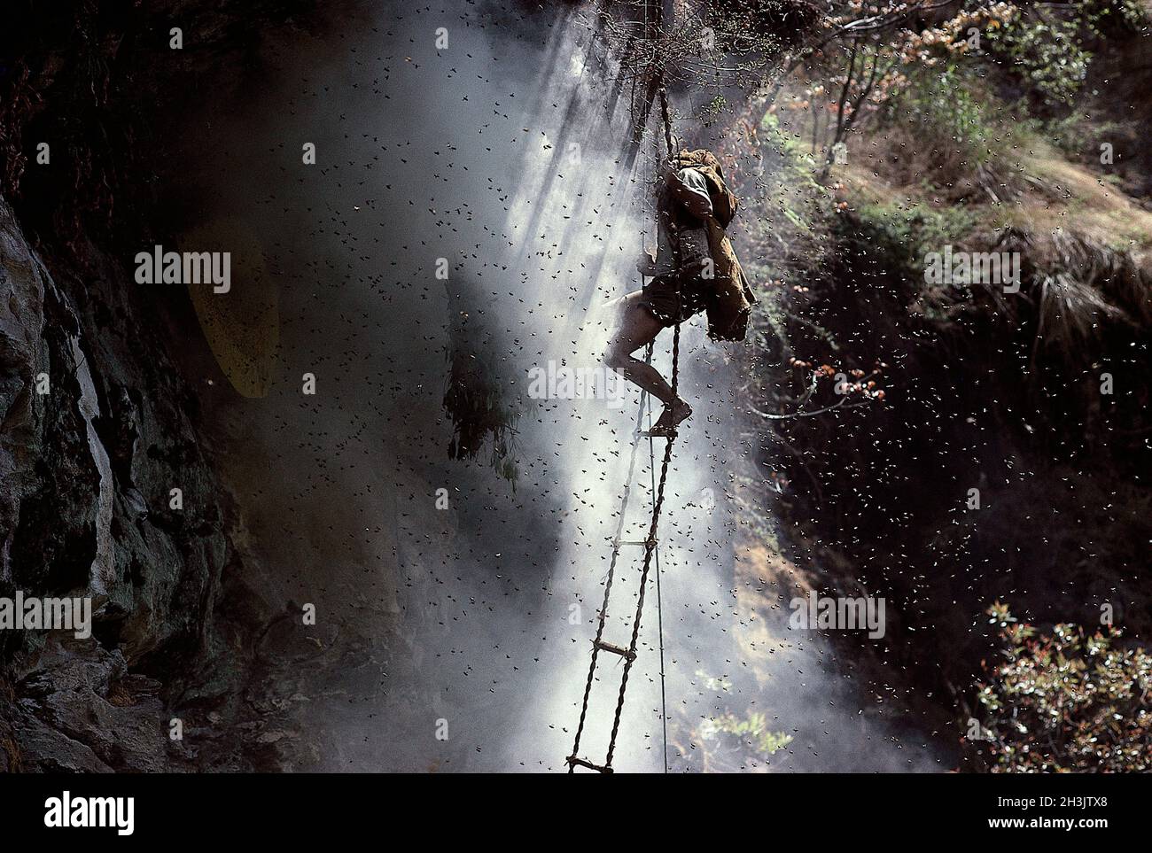 Nepal, zona di Gorkha, gruppo etnico di Gurung, cacciatore di miele Foto Stock