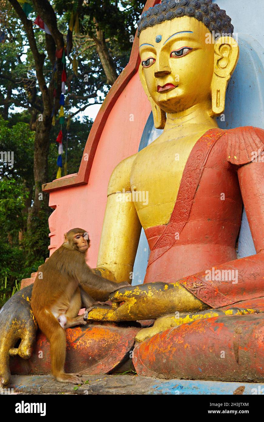 Nepal, valle di Kathmandu, Swayambunath stupa Foto Stock