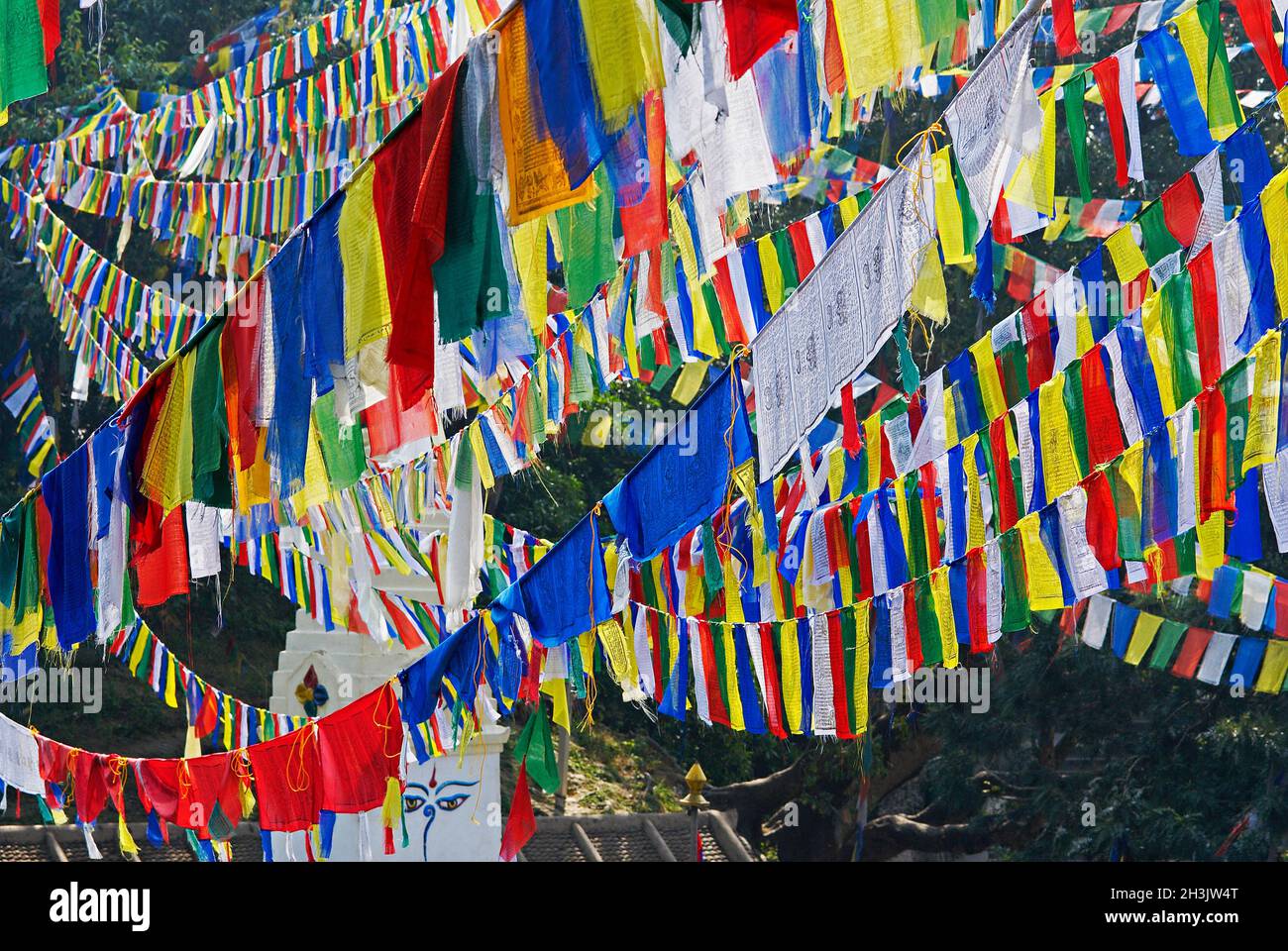 Nepal, valle di Kathmandu, Swayambunath stupa, bandiera di preghiera Foto Stock