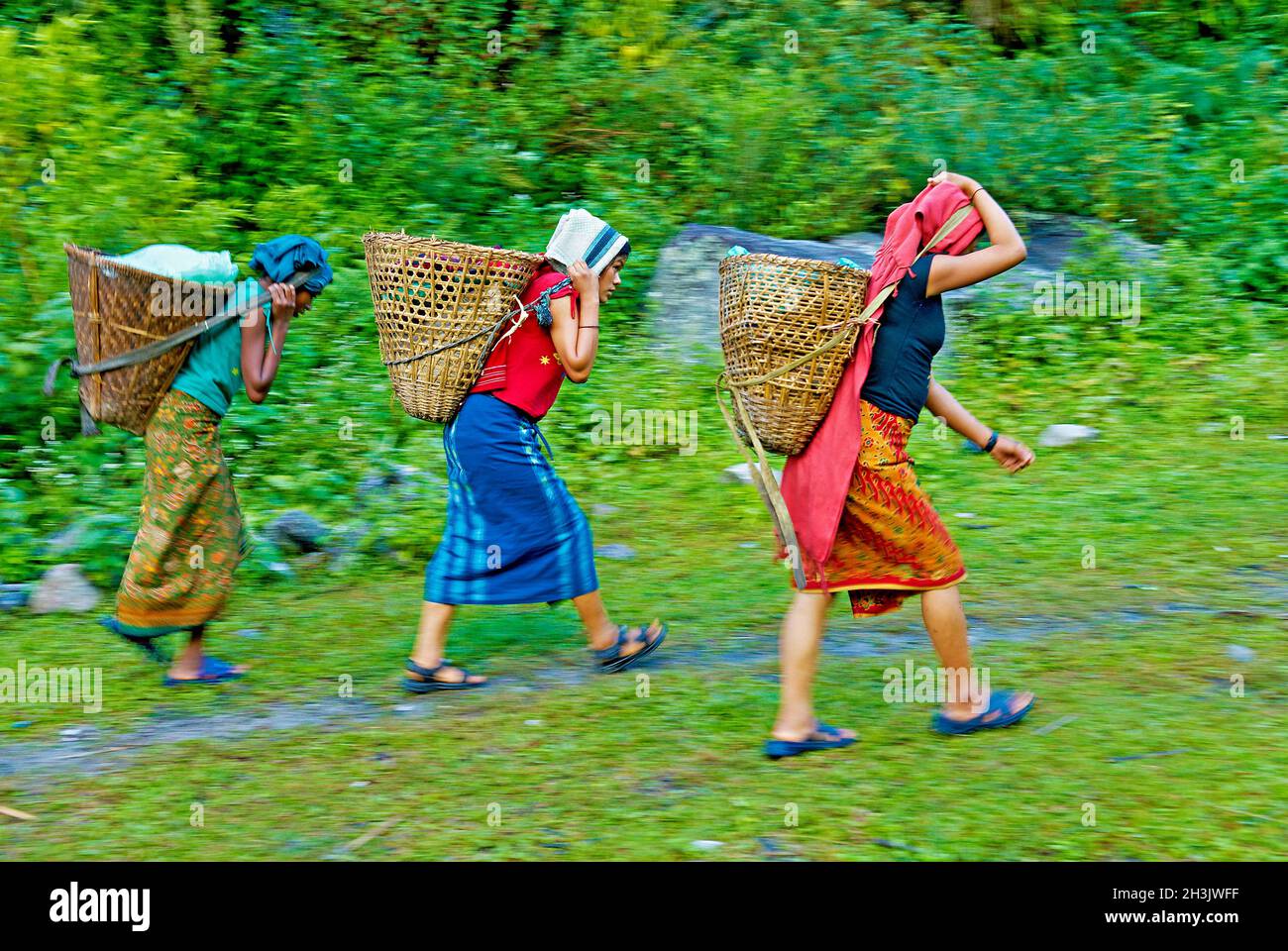Nepal. Valle di Arun, Nepal orientale. Porter, il pilota di strada della Himalaya. Foto Stock