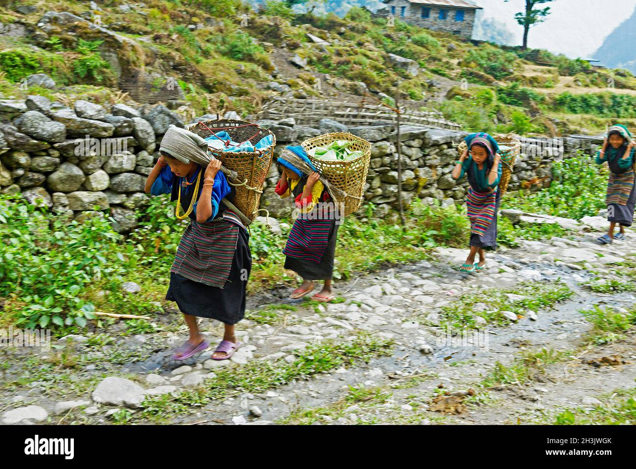 Nepal. Valle di Arun, Nepal orientale. Porter, il pilota di strada della Himalaya. Gruppo etnico Sherpa o Bhote. Foto Stock