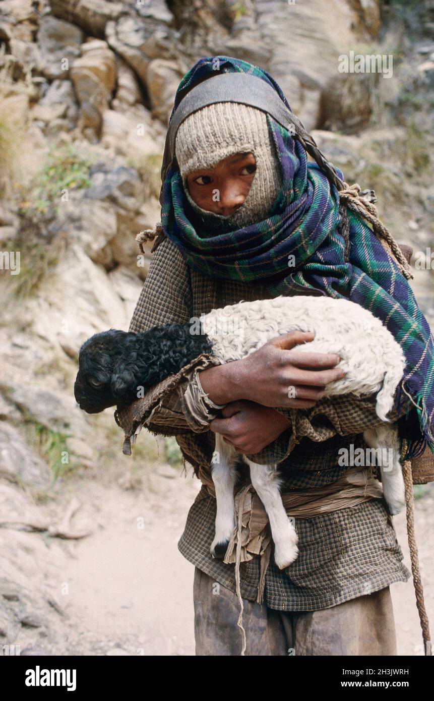 Nepal, regione del Dolpo, valle del tarap, pastore da gruppo etnico magar.kid Foto Stock