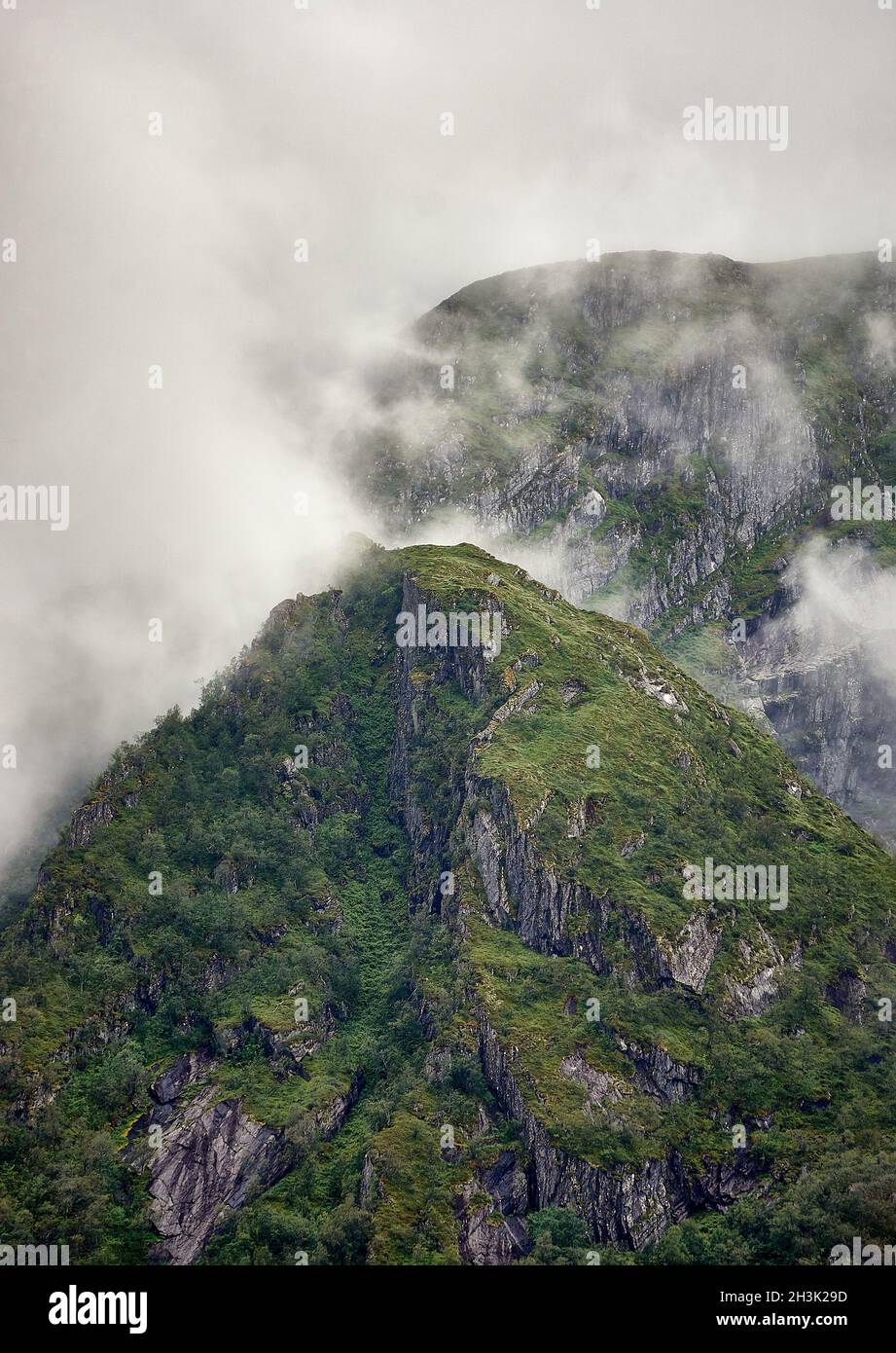 Mattina nebbia di montagna, Norvegia Foto Stock