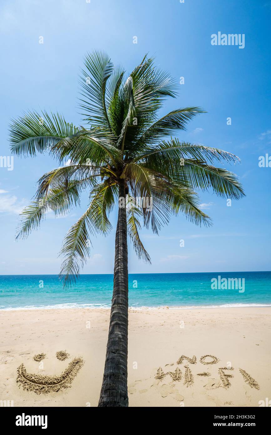 Palm Tree e nessuna scrittura wi-fi sulla spiaggia sul mare Foto Stock
