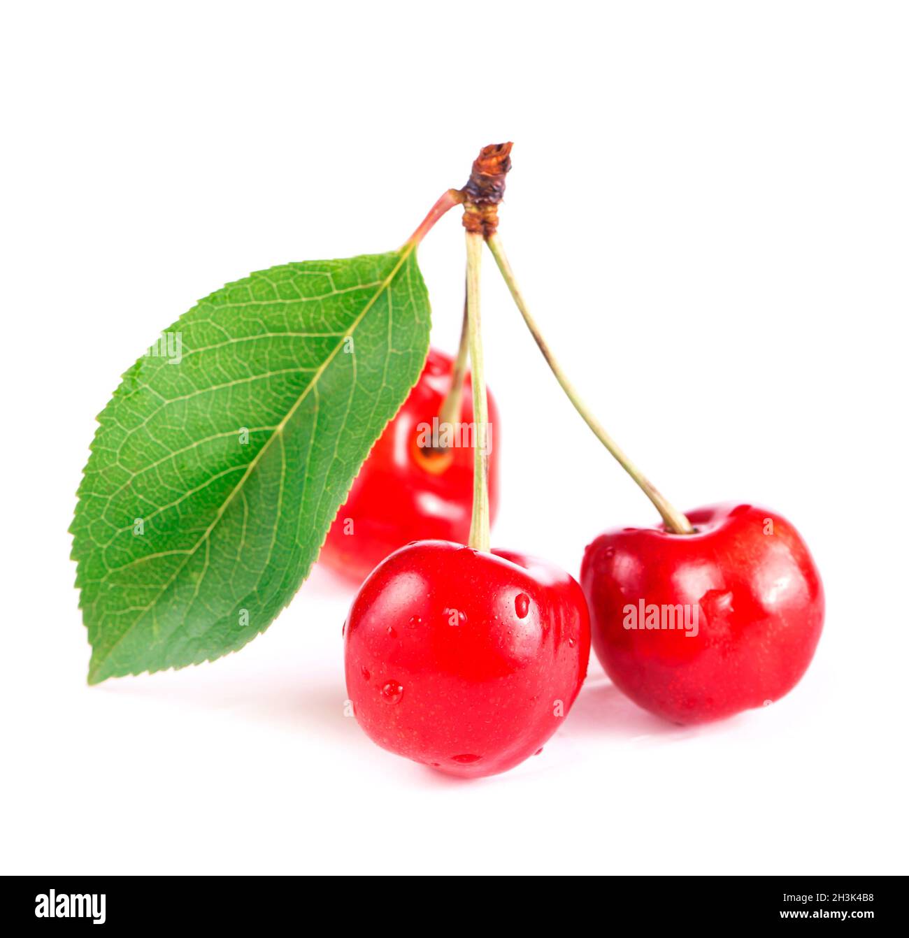 Vino e pomodori con basilico in ambiente vintage su tavola di legno Foto Stock