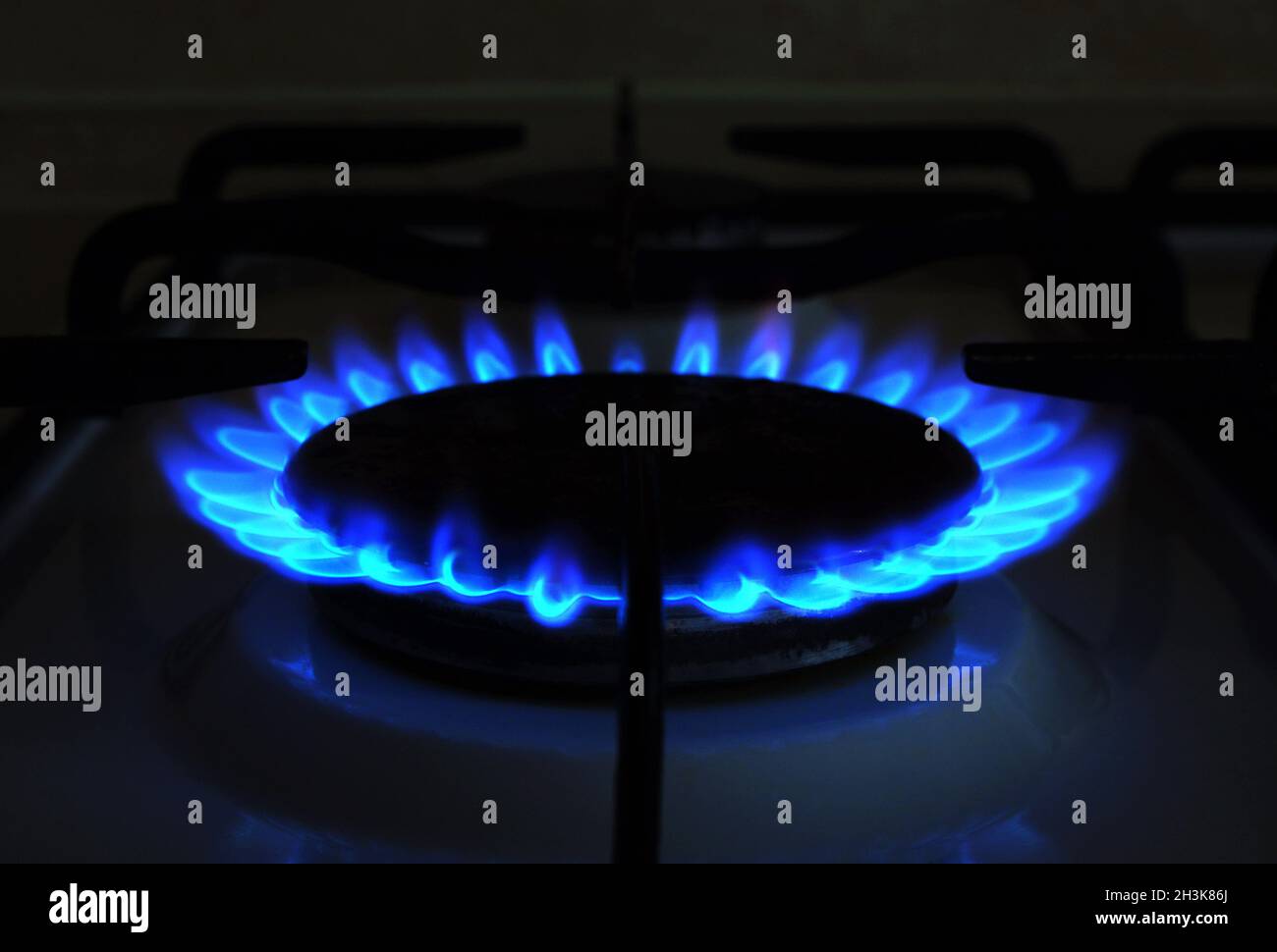 Gas naturale. Prezzi elevati di gas naturale. Fiamme blu di gas che bruciano da una stufa a gas da cucina. Crisi energetica. Foto Stock