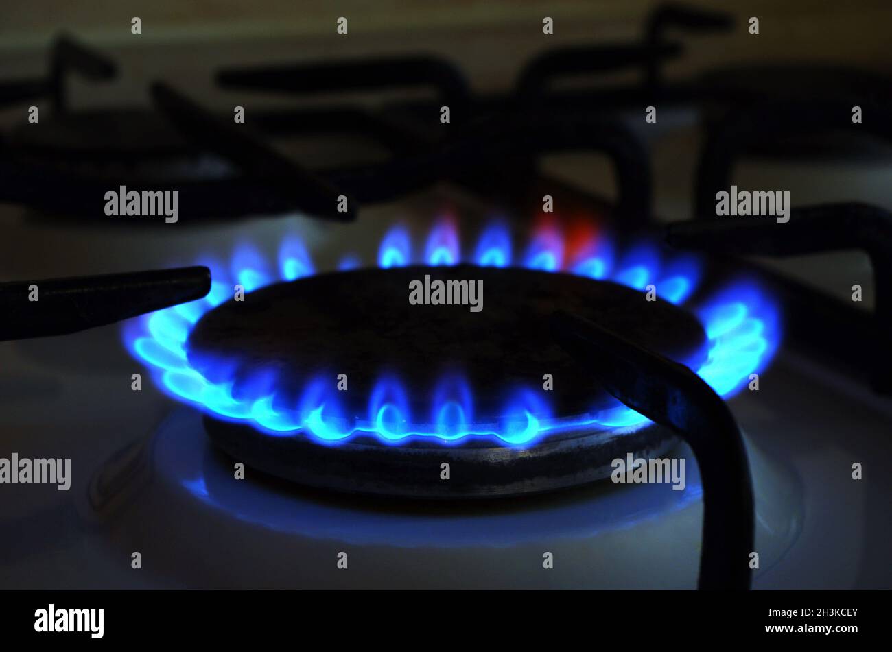 Gas naturale. Prezzi elevati di gas naturale. Fiamme blu di gas che bruciano da una stufa a gas da cucina. Crisi energetica. Foto Stock