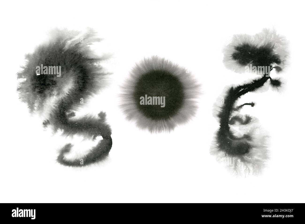Silhouette di drago asiatico su sfondo bianco, illustrazione giapponese in inchiostro nero naturale, acquerello sumi, arte astratta Foto Stock