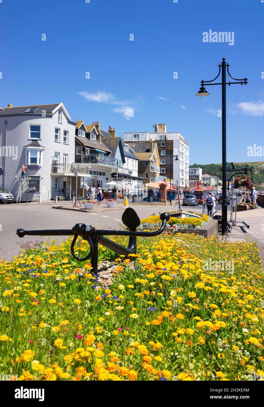 Seaton Devon Flower letti su Seaton Esplanade o lungomare lungomare sulla spiaggia strada Seaton Bay Seaton Devon Inghilterra Regno Unito GB Europa Foto Stock