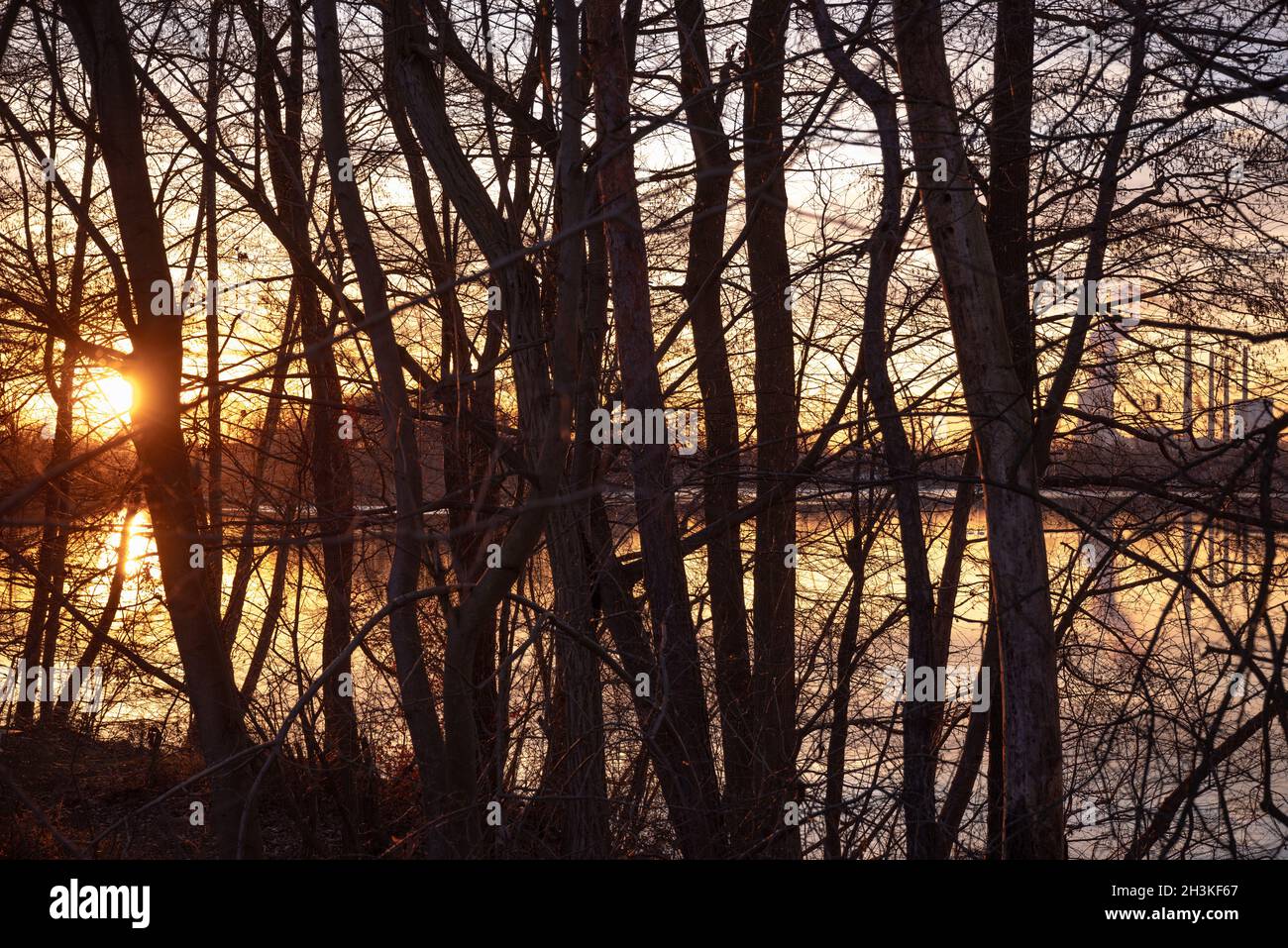 Arriva la notte Foto Stock