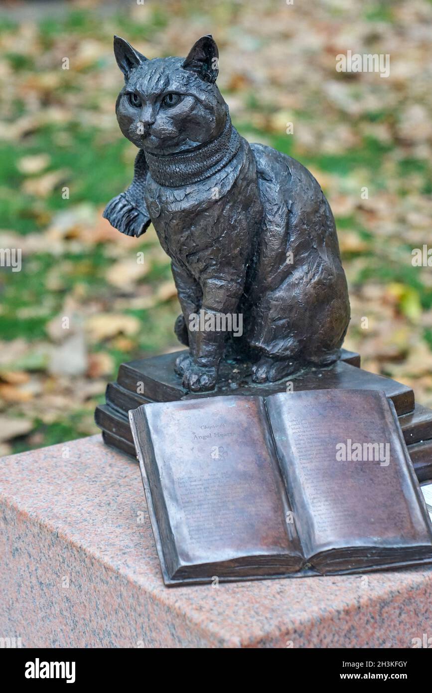 Statua di Street Cat di nome Bob Islington Foto Stock