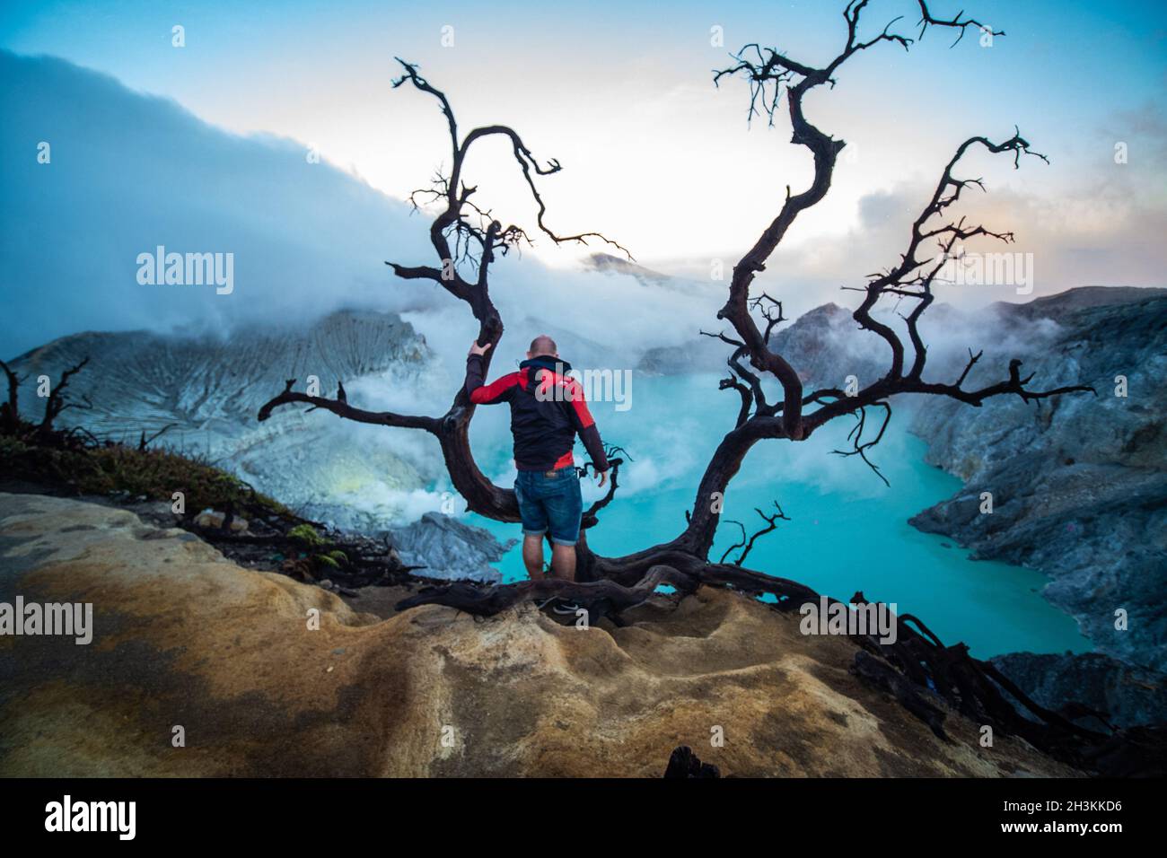 Uomo viaggiatore in piedi vicino albero morto sul bordo del vulcano Ijen del cratere con cielo colorato al mattino Foto Stock