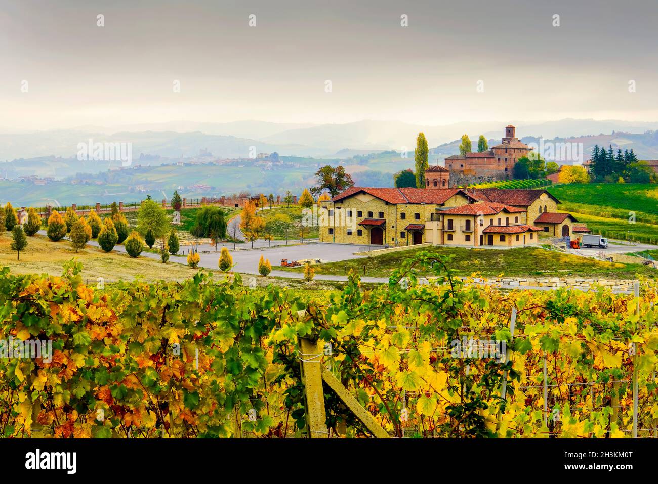 Il paesaggio dei vigneti intorno alla città di Barbaresco, Regione Piemonte, Italia. Il Barbaresco è un vino italiano prodotto con l'uva Nebbiolo, classificato come Foto Stock