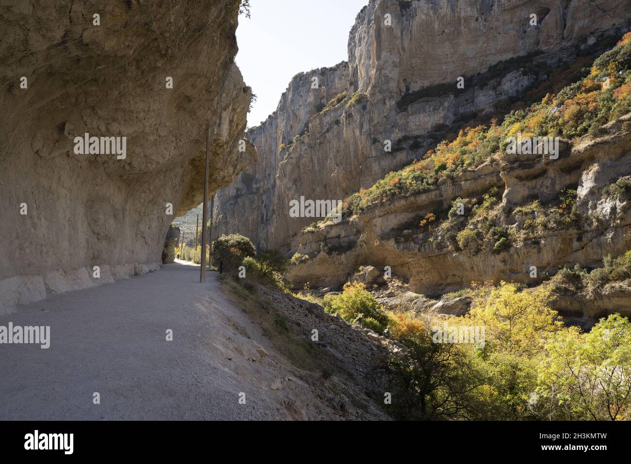 canyon foz de lumbier in autunno a navarra, spai Foto Stock