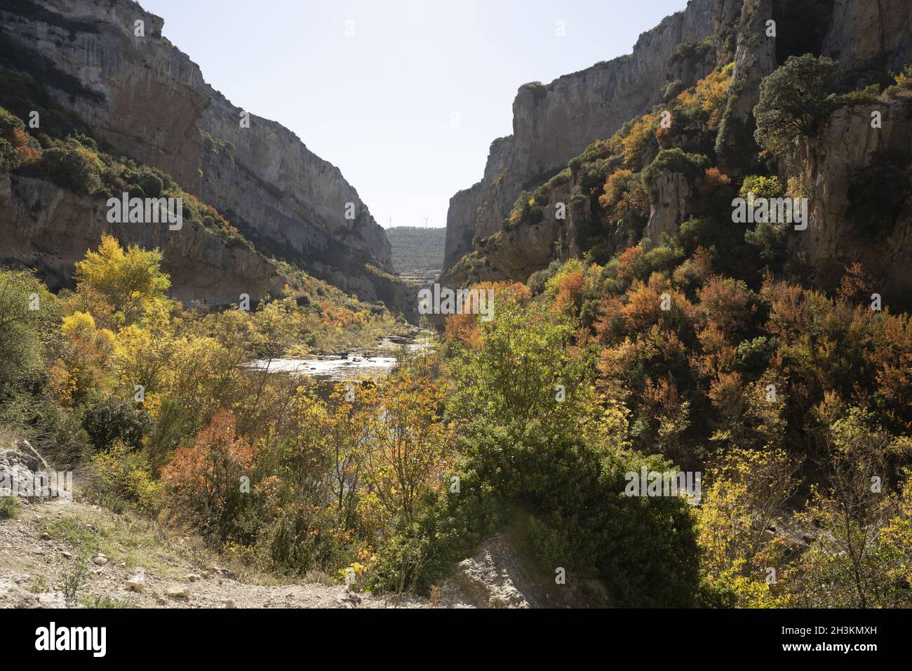 canyon foz de lumbier in autunno a navarra, spai Foto Stock