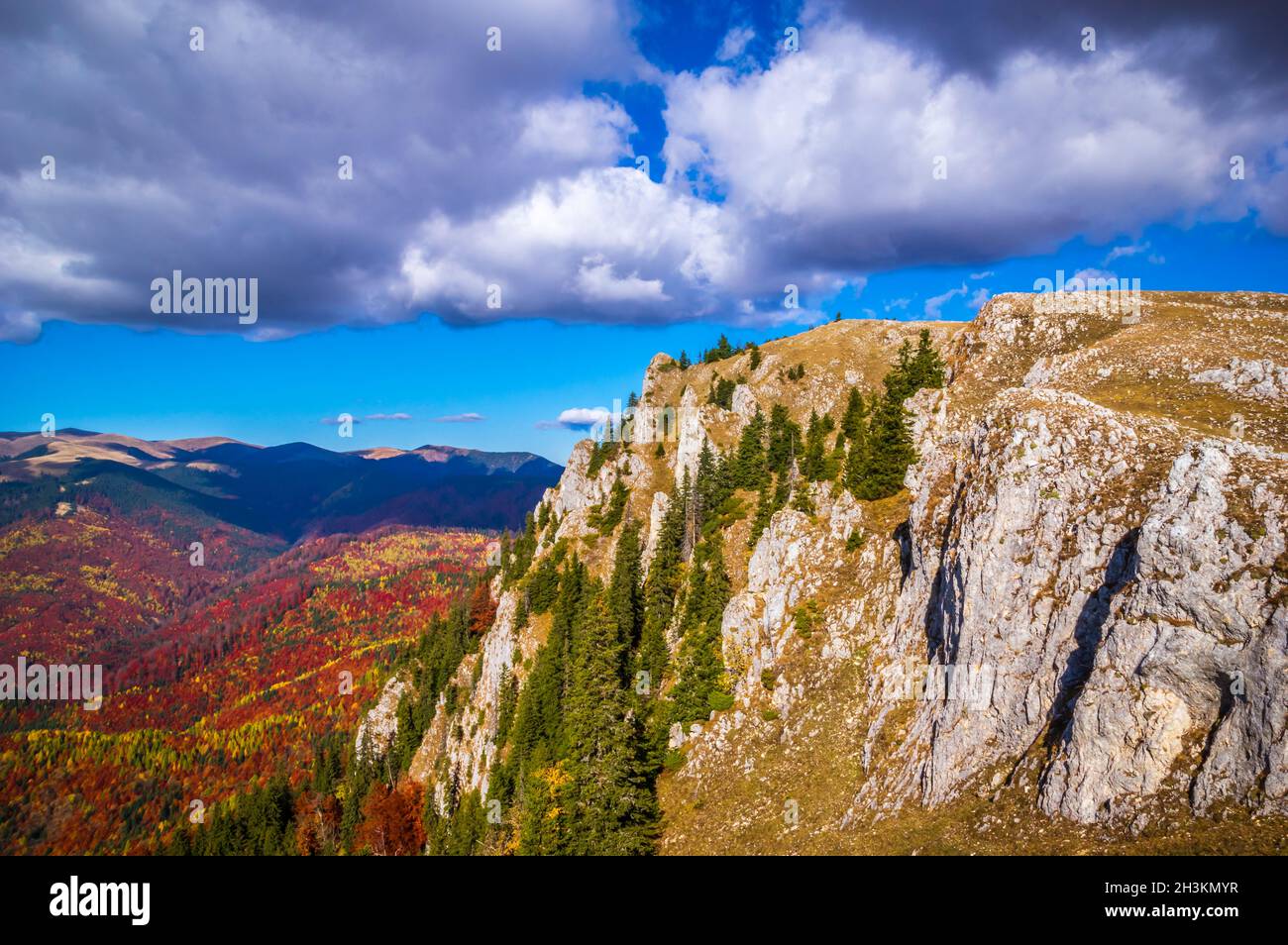 Autunno nel Parco Nazionale di Bula Vanturarita, Monti Carpazi, Romania. Vividi colori autunnali nella foresta. Foglie d'autunno colorate. Verde, giallo, arancione, Foto Stock