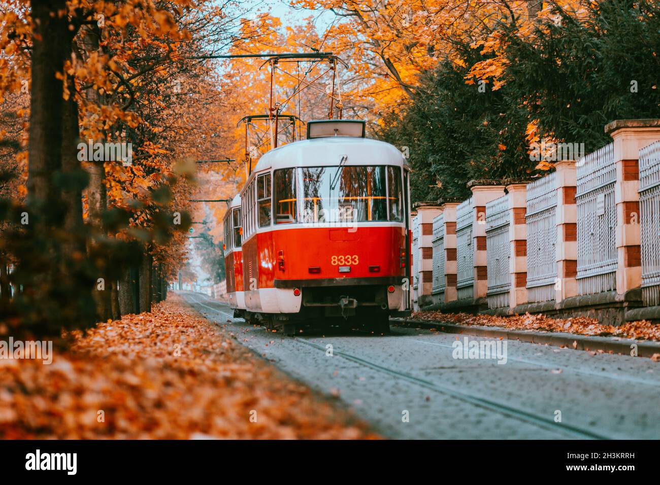 Tram di Praga su una sezione unica della linea di tram che è una popolare attrazione turistica a Praga, soprattutto in autunno, a Praga, Repubblica Ceca, Octob Foto Stock