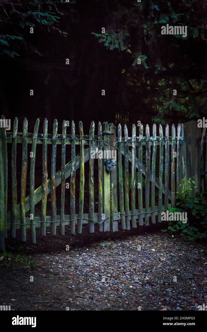 Cancello chiuso in legno picket recinzione nella foresta scura Foto Stock