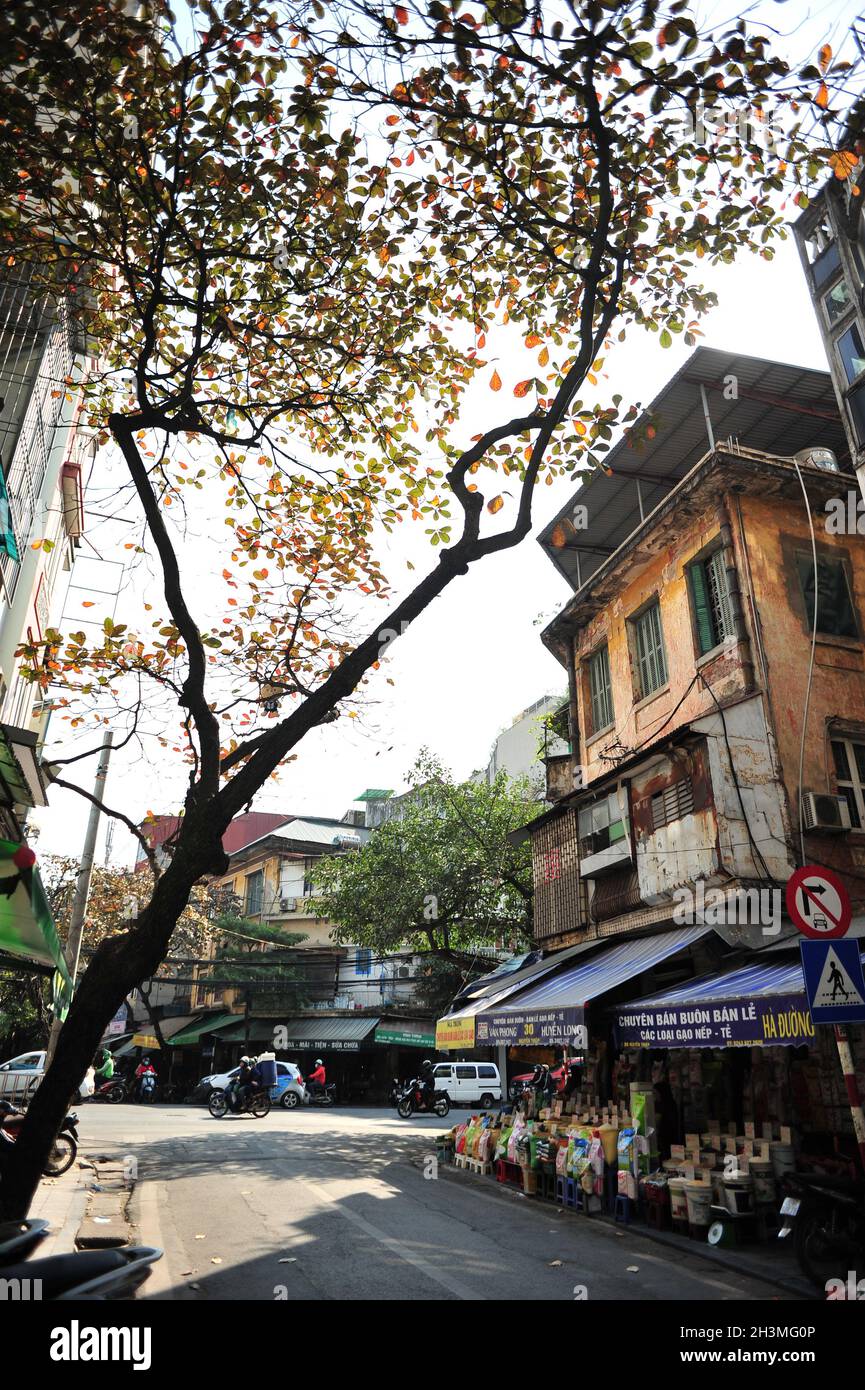 Architettura coloniale francese nella città di Hanoi Foto Stock