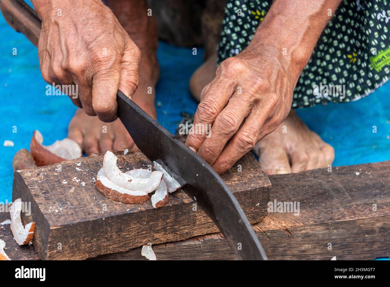 Una scissione è usata per tritare un mucchio grande di bucce di cocco in piccole fette alla fattoria di Philipkutty in Kottayam, Kerala, India le noci di cocco affettate Foto Stock