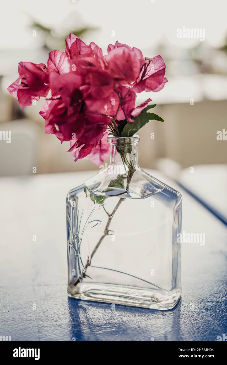 Un vaso fatto da una bottiglia di vetro per un fiore rosso Foto Stock