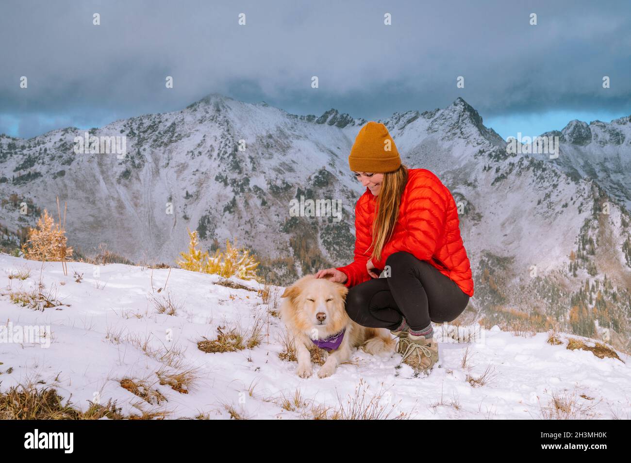 Accarezza un cane soffice carino su una cima Snowy Mountain Foto Stock