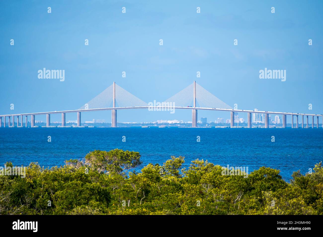 La vista di Skyway, cavo-alloggiato bridge da Robinson Nature Preserve Foto Stock