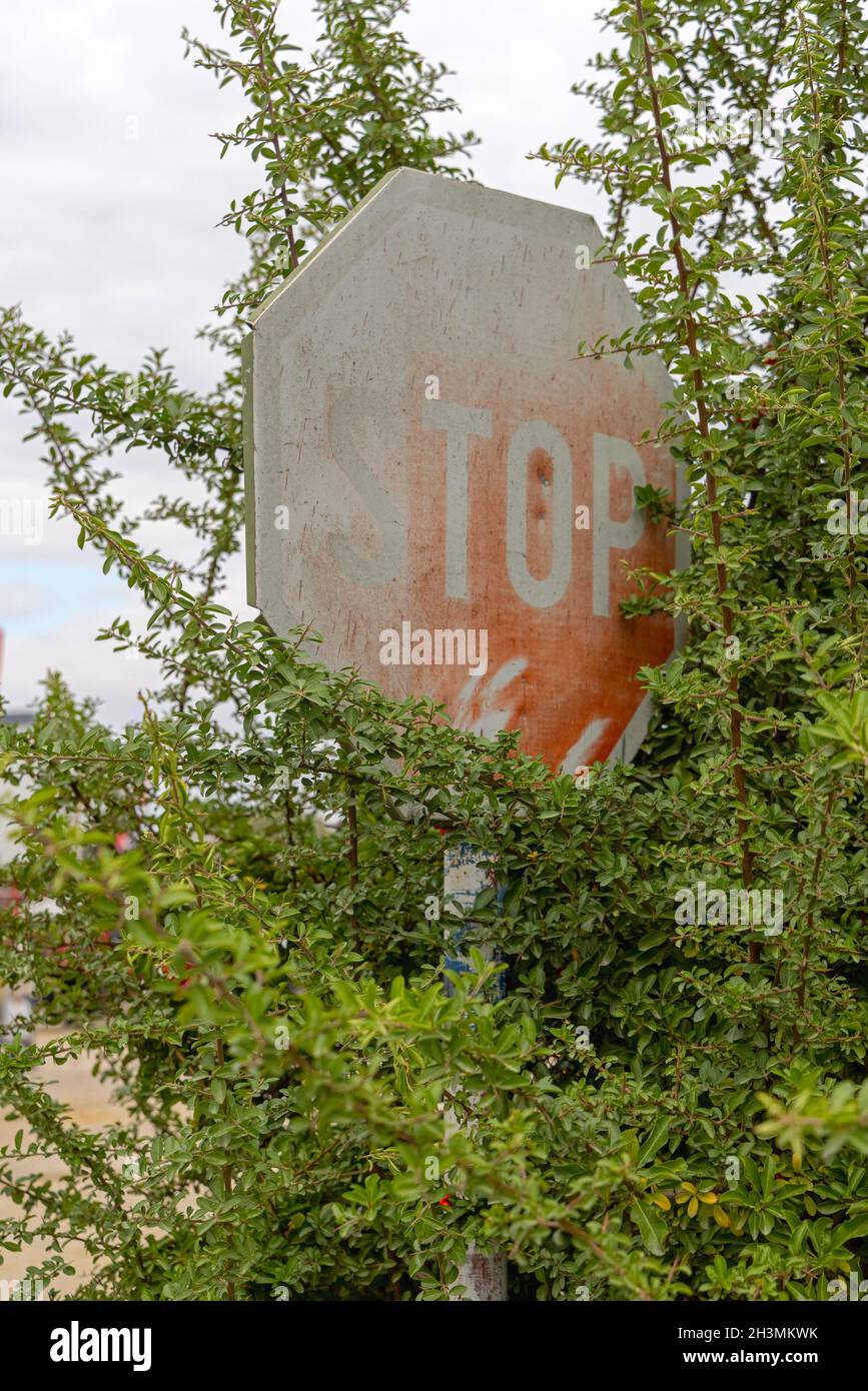 Oscuro cartello stradale Stop coperto con Bush Shrubs Foto Stock