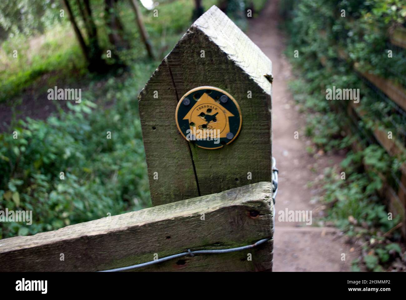 Indicazioni per Treesdale Way in post su Tessdale Way Middle One Row, Darlington, County Durham Foto Stock