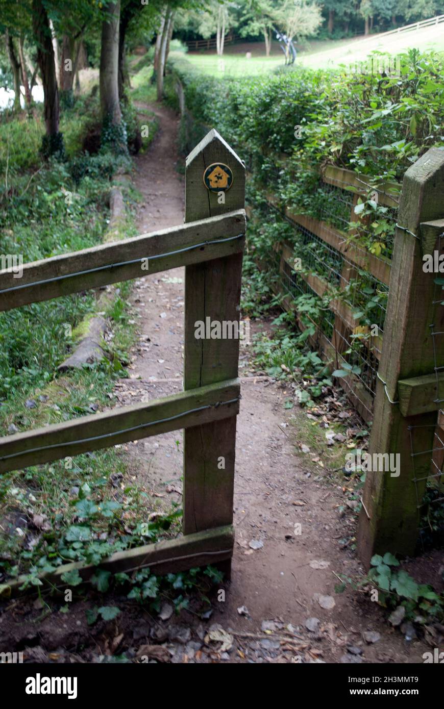 Indicazioni per Treesdale Way in post su Tessdale Way Middle One Row, Darlington, County Durham Foto Stock