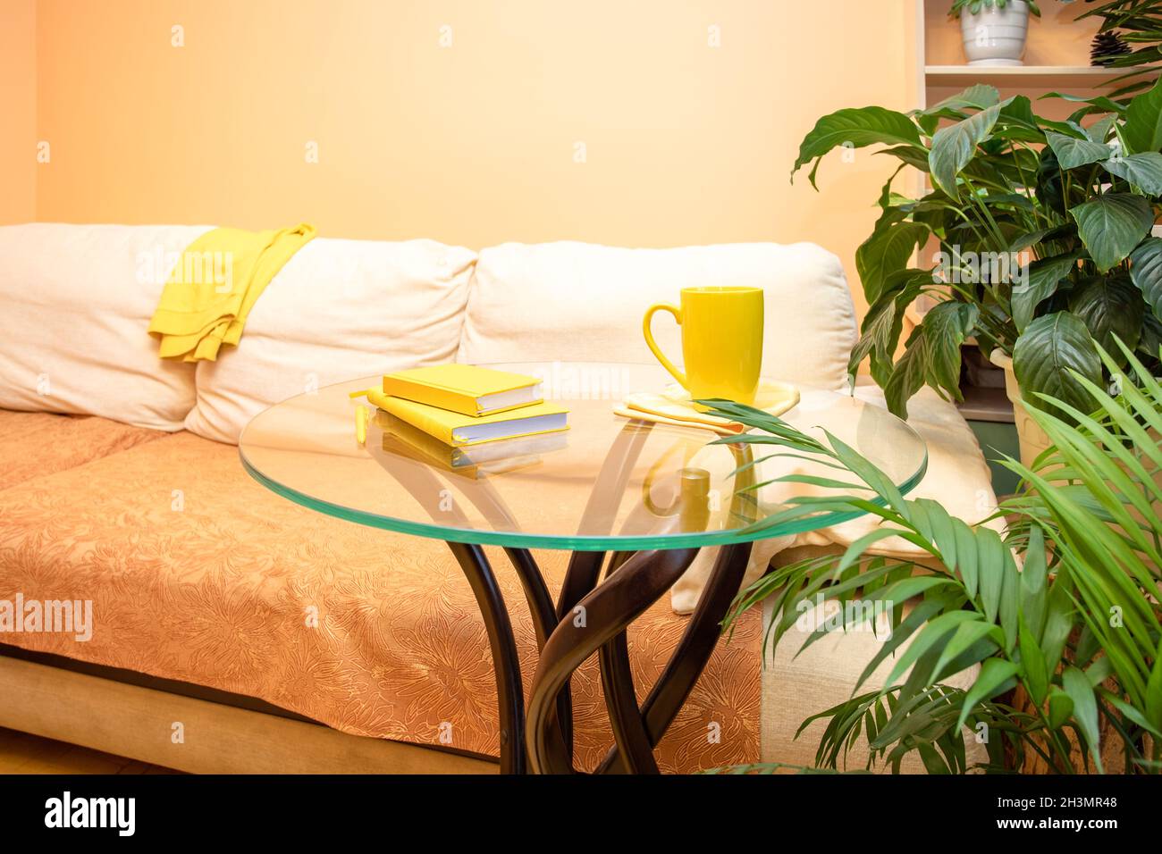 Elegante casa reale interno trendy con divano chiaro, tavolo rotondo in  vetro, accessori gialli e piante verdi diverse casa. Casa accogliente  decor, casa garde Foto stock - Alamy