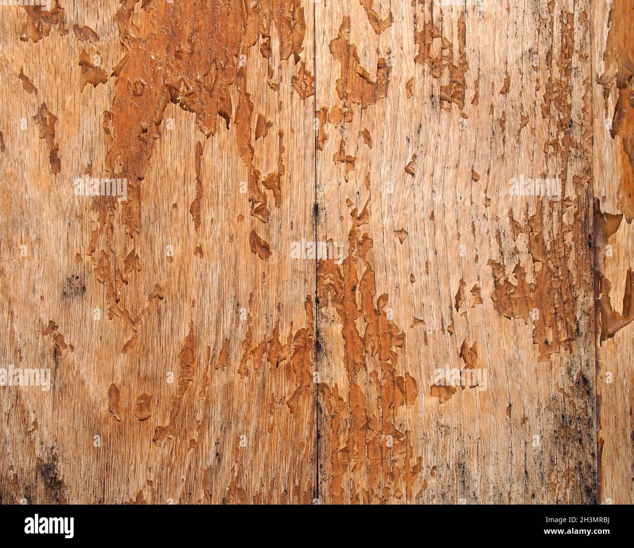 Vecchia superficie di legno sbiadita con vernice marrone peeling Foto Stock