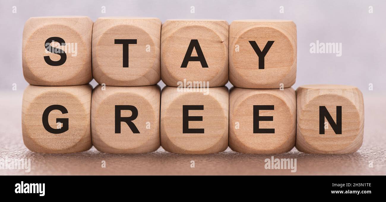 Resta verde stampato su cubi di legno Foto Stock