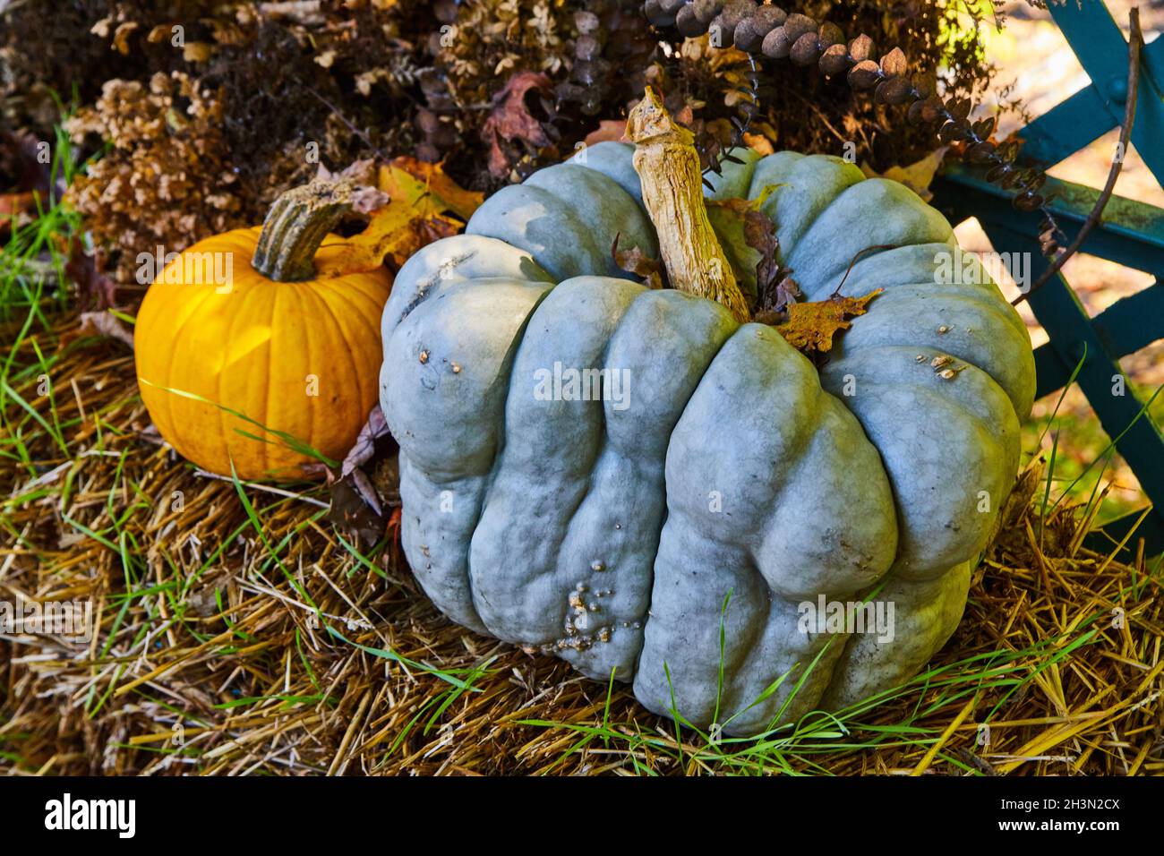 Balla di fieno con zucca grigia grande e zucca arancione Foto Stock