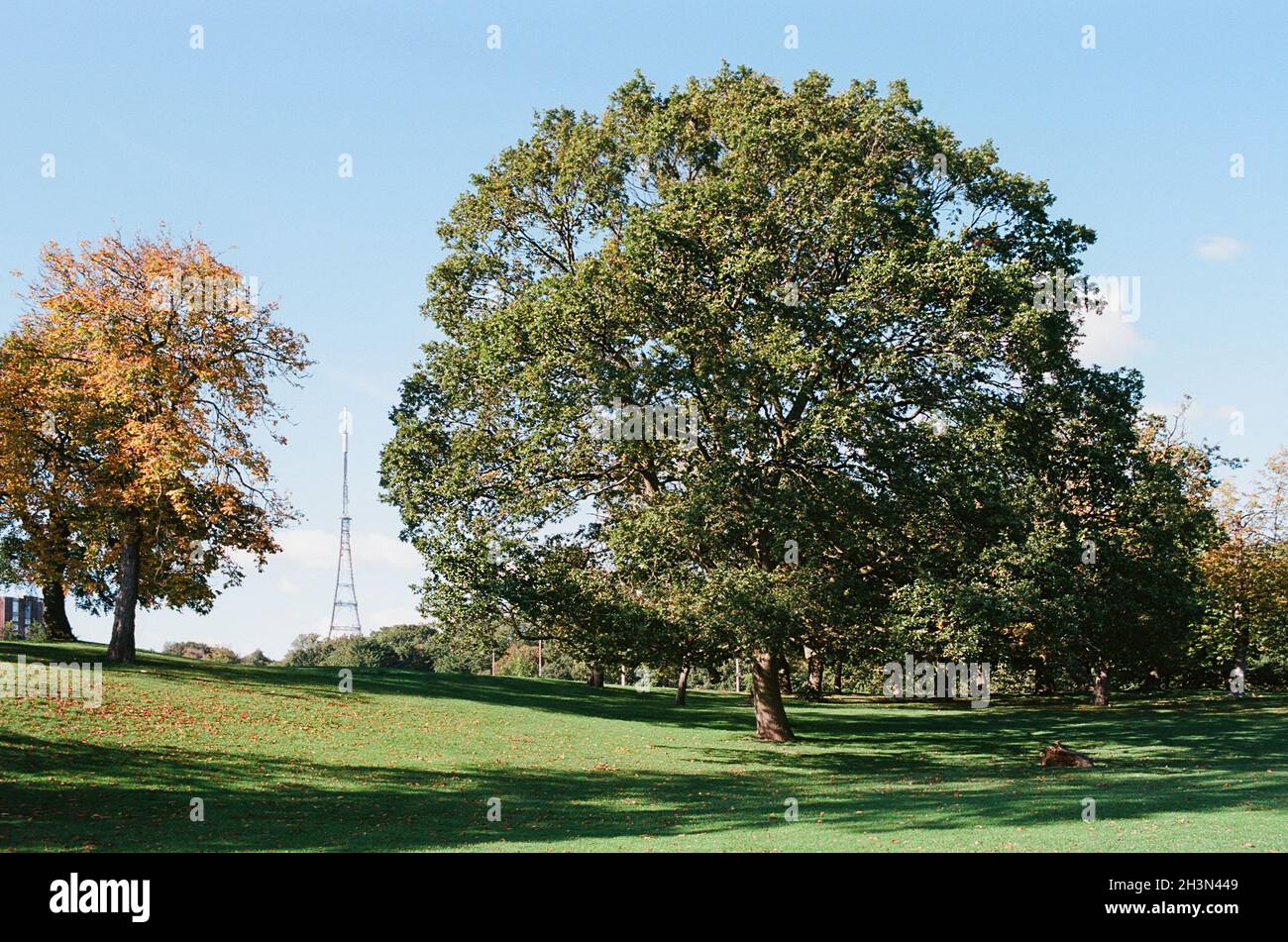 Crystal Palace Park in autunno luce del sole, sud-est di Londra, Regno Unito, con la stazione di trasmissione TV sullo sfondo Foto Stock