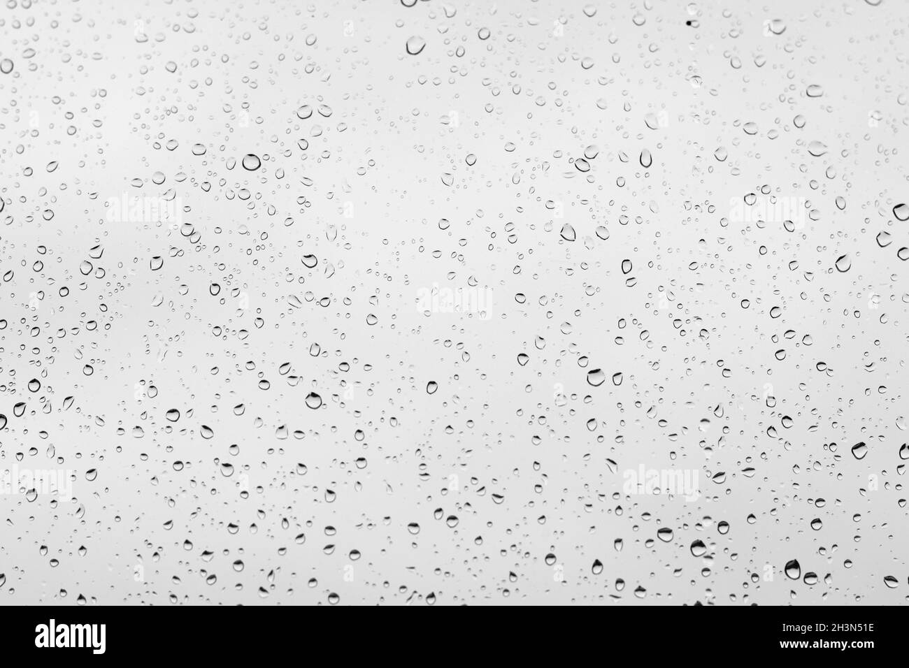 Gocce d'acqua su vetro trasparente su sfondo bianco nuvoloso. Concetto di pioggia Foto Stock