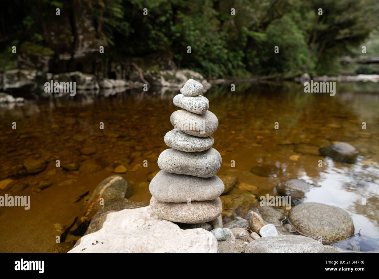 Fiume Oparara che scorre attraverso la lussureggiante e incontaminata foresta pluviale temperata Foto Stock